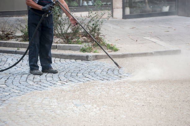 Best Driveway Pressure Washing  in Mckinleyville, CA